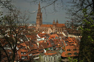 Ciudad de Freiburg im Breisgau, Selva Negra