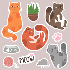 Cute collection of stickers with cats, pets in cartoon flat style. Vector illustration.