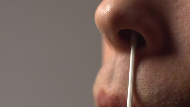 COVID-19 antigen self-testing, nose swab macro shot.