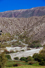 scenic view of the Andes mountain range in the Argentine province of Jujuy