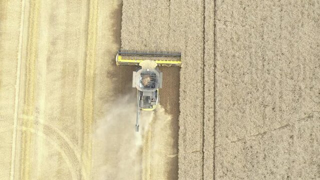 Aerial shot of combine harvester machine harvesting wheat