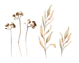 Set of watercolor botanical autumn illustration branches. Autumn floral illustration. Fall vibes. Hand painted drawing isolated on white background. elegant floral herds pastel color. Cute plants