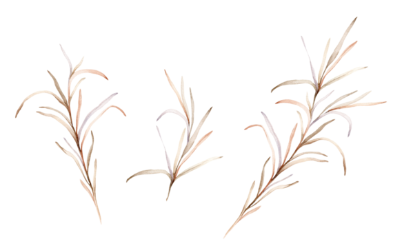 Set of watercolor botanical autumn illustration branches. Autumn floral illustration. Fall vibes. Hand painted drawing isolated on white background. elegant floral herds pastel color. Cute plants