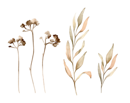 Set of watercolor botanical autumn illustration branches. Autumn floral illustration. Fall vibes. Hand painted drawing isolated on white background. elegant floral herds pastel color. Cute plants