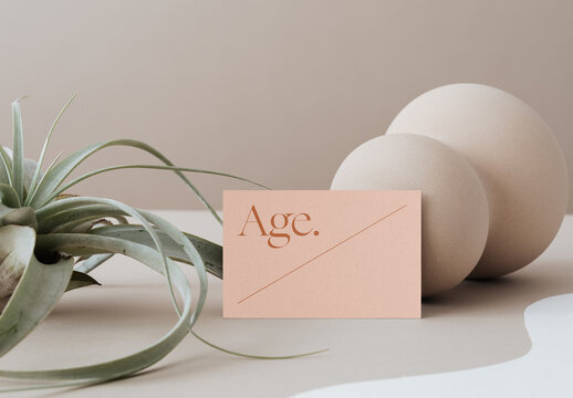 Business Card Based on a Egg Mockup