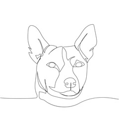 basenji, Zande dog, bongo terrier, hunting dog one line art. Continuous line drawing of friend, dog, doggy, friendship, care, pet, animal, family, canine.