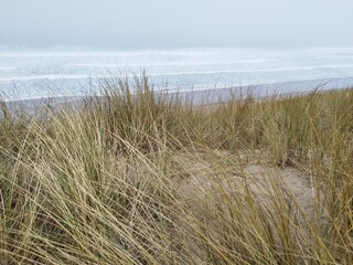Dune with grasses and sea