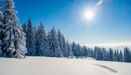 winter background landscape in snowfall trees in the forest nature view in cold weather white...