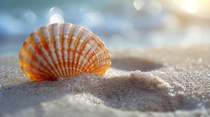 Fotobehang Close-Up Beach Scene: Intricate Scallop Shell in Fine Sand Generative AI © Alex