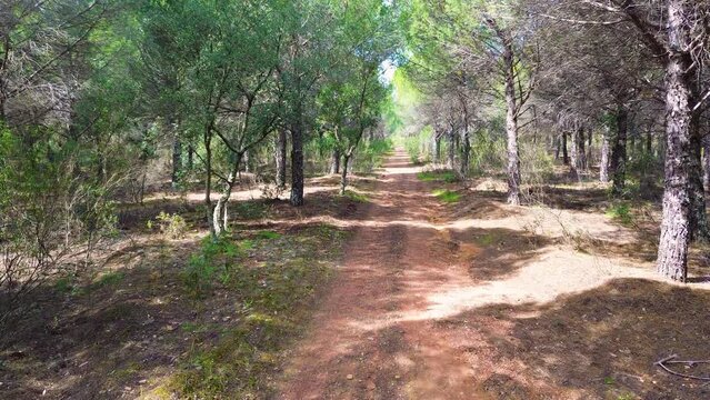 Tranquil Pathways: Capturing the Charm of La Codosera's Rural Roads, Badajoz, Spain