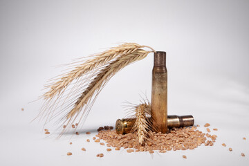 two large shells from a gun, spikelets and wheat grains on a light background. Concept of war and...