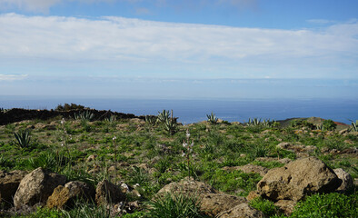 Beautiful rural view of Teno Alto in Tenerife, Canary Islands, Spain.Travel concept.Selective...