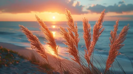 Fototapeten Sunset Grass Close-up on the Beach Generative AI © Alex