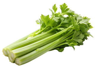 Large celery plant, isolated, on a white or transparent background. Generative AI