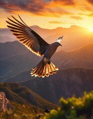 Twilight Flight: Colorful Bird Soars Across Mountainous Horizon in Golden Sunset Glow