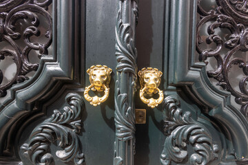 Decorative carved doors with brass door knockers in the shape of a lion's head
