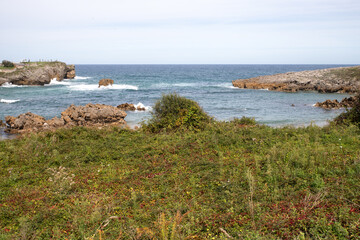 Fototapeta na wymiar Coastal Meadow Overlooking Rugged Cliffs and Turquoise Sea