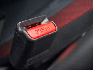 seat belt holder