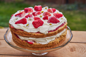 Delicious light and fresh birthday cake made from sponge pastry, mascarpone cream, red strawberries and decorated by daisy flowers served in the garden. Great cake for girl celebration in the spring.