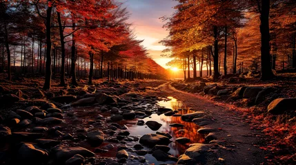 A beautiful autumn scene with a river and trees. The sun is setting and the sky is orange © Людмила Мазур
