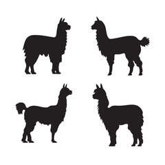Alpaca silhouette