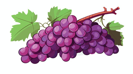 Bunch of purple grape with leaves sketch vector 