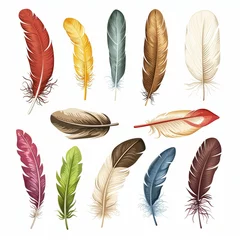 Papier Peint photo Plumes Assorted Colorful Bird Feathers Isolated on White Background Illustration