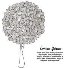 Drawing daisy flower, camomile, floral element, hand drawn botanical illustration. 