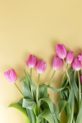 Spring Flowers Background, Pink Tulips, Springtime, Seasonal Bloom, Light Colors, Children, Mothers Day, Holiday Seasons, Grow and Blooming Flower Backdrop Wallpaper