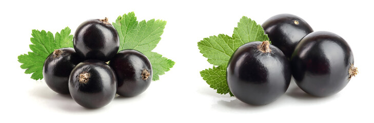 black currant with leaf isolated on white background