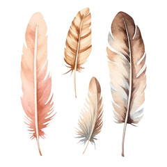 Delicate hand-painted watercolor feathers in earthy tones