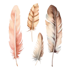 Fotobehang Veren Delicate hand-painted watercolor feathers in earthy tones