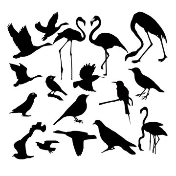 Creative  Silhouette Vector Of Flying Seagulls In The Air Black Colored Fully Scalable.