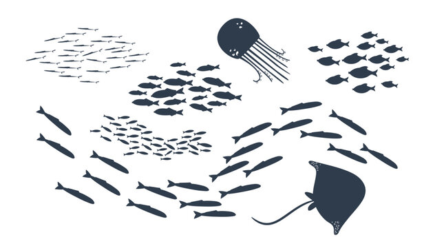 Set of schools of  fish. Flock of fishes in the doodle style.