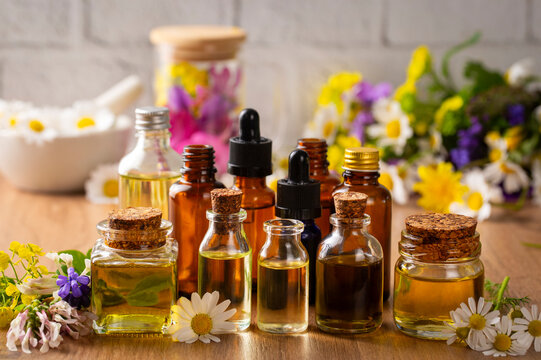 Concept of alternative herbal medicine. Bottles of tincture or potion, organic essential oils, dry healthy herbs, floral extracts on wooden table. Pure natural ingredients for cosmetic production