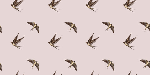 Swallow watercolor clipart illustration seamless pattern birds songbird feathers fauna nature animals ecological