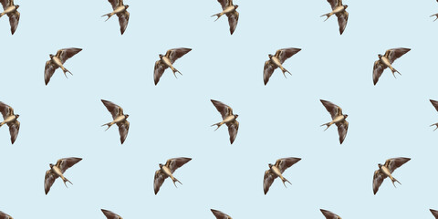 Swallow watercolor clipart illustration seamless pattern birds songbird feathers fauna nature animals ecological