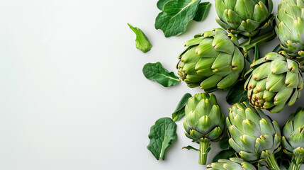 Artichoke on a white background with space for your text