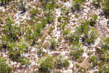 Aerial view over the Okavango Delta, Botswana