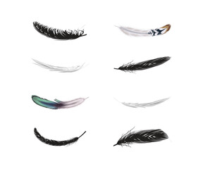 Set of black bird feather in a flat style. Black quill feather silhouette. Plumelet collection