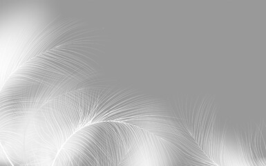 Background of flying realistic vector  goose or swan  feathers.Ecological feather filler for pillows, blankets or jackets.Vector concept design.
