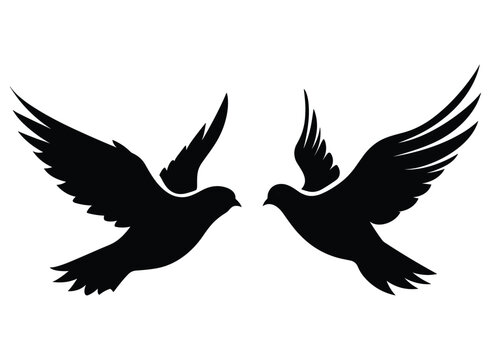 Black Dove silhouette vector.