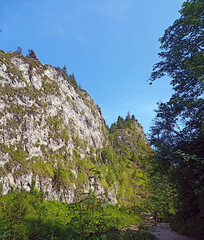 Szlak turystyczny prowadzący przez malowniczy Wąwóz Homole. Jeden z najpiękniejszych szlaków Pienin - obrazy, fototapety, plakaty