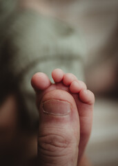 baby foot and toes in a hand