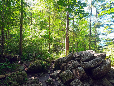 Kamienne Księgi, skała wapienna na Dubantowskiej Polani w pobliżu wąwozu Homole. Czerwiec 2023