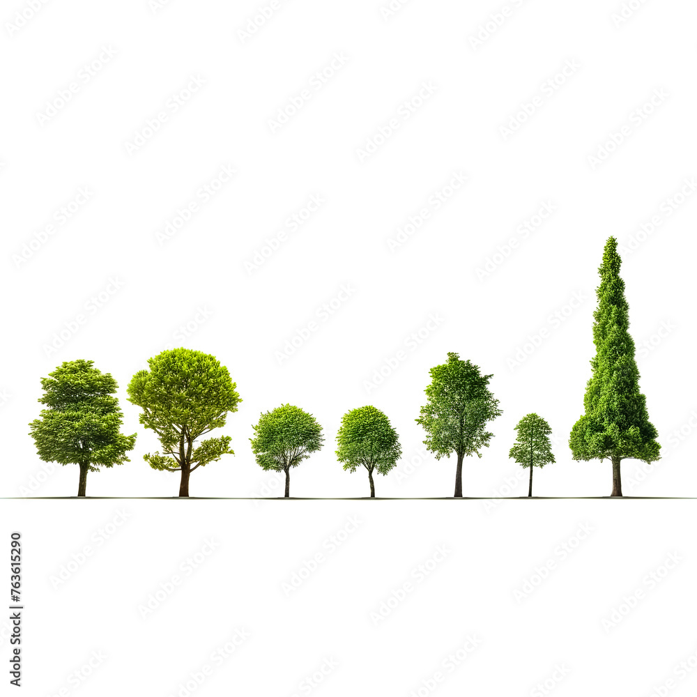 Poster a row of trees are shown in various stages of growth, from saplings to mature trees. the trees are a