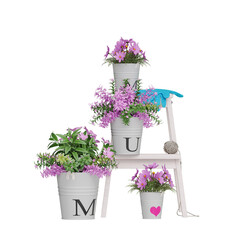Potted plants placed on a white background