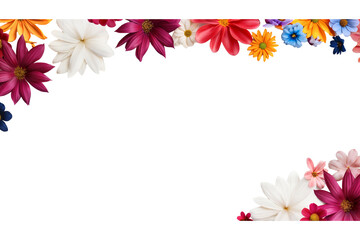 Spring and summer frame of flowers, isolated on transparent background cutout