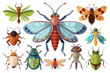 Fotobehang  Different-insects collection vector arts illustration © Mohammad