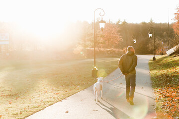 Man walking a white dog on a foot path during the fall with the sun shining on a cold day.